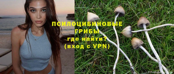 мдпв Армянск
