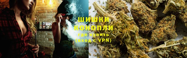 дживик Аркадак
